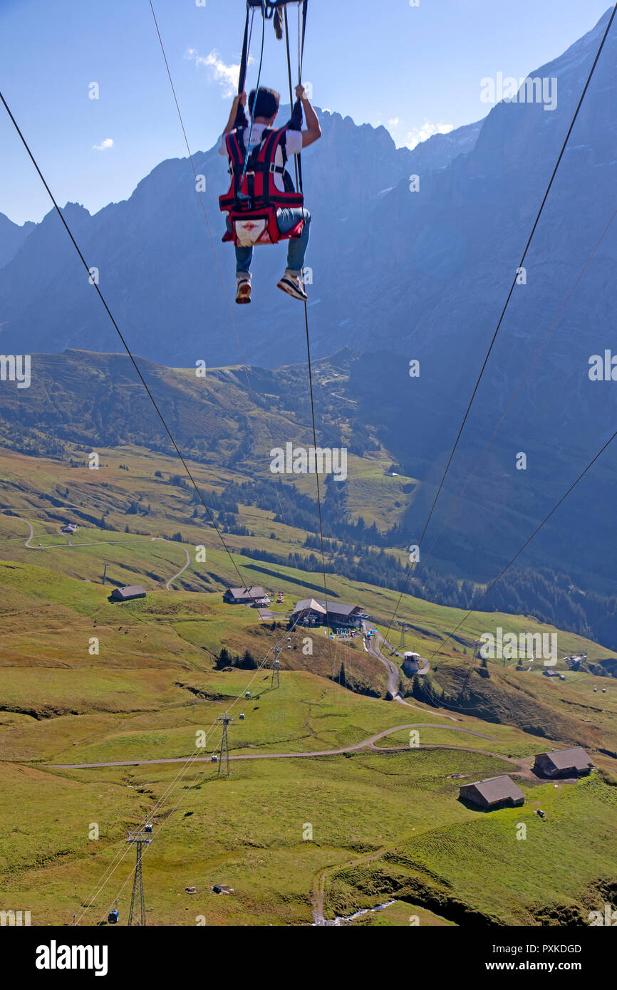 The First Flyer zipline above Grindelwald Stock Photo Alamy