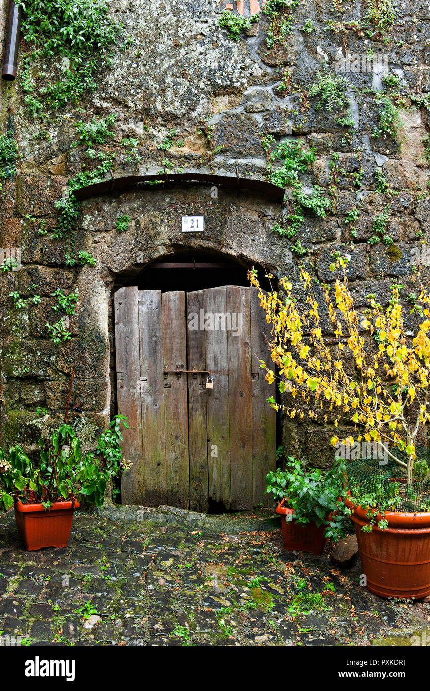 Old wooden door and stone wall with flower pots, Sorano, Province of Grosseto, Tuscany, Italy Stock Photo