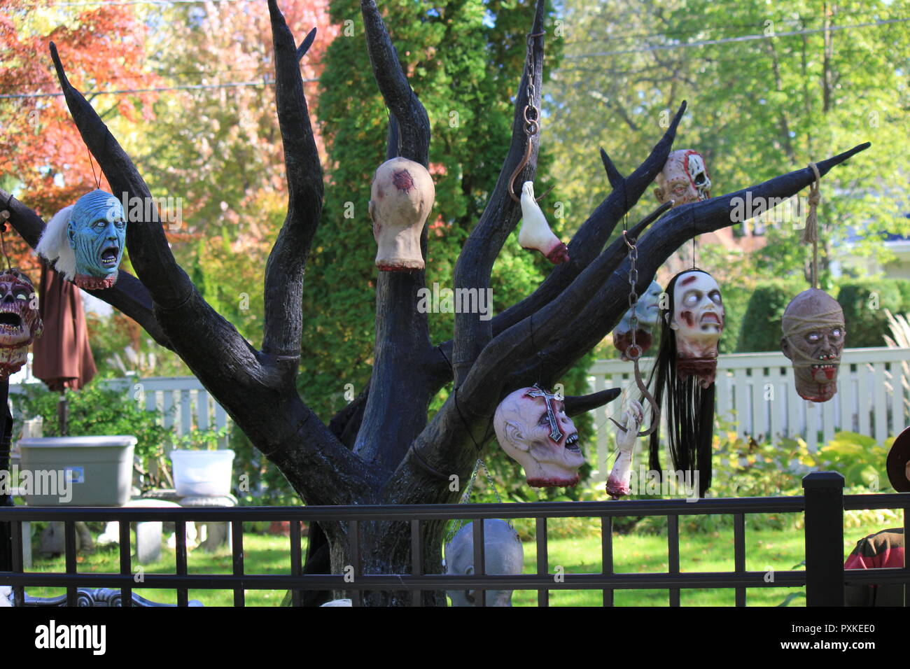 Morbid decor hires stock photography and images Alamy