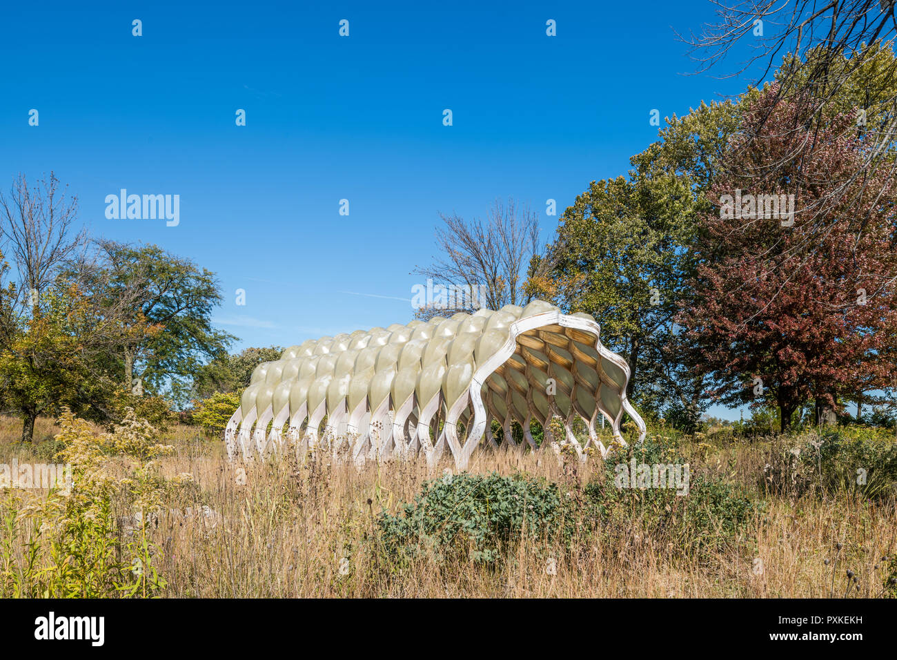 People's Gas Education Pavilion in Lincoln Park - designed by Studio Gang Stock Photo