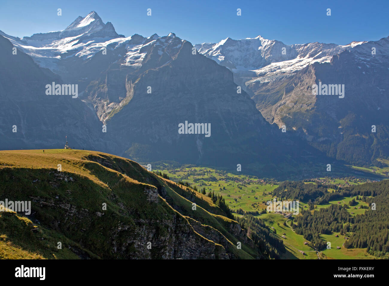 Grindelwald Valley Stock Photo