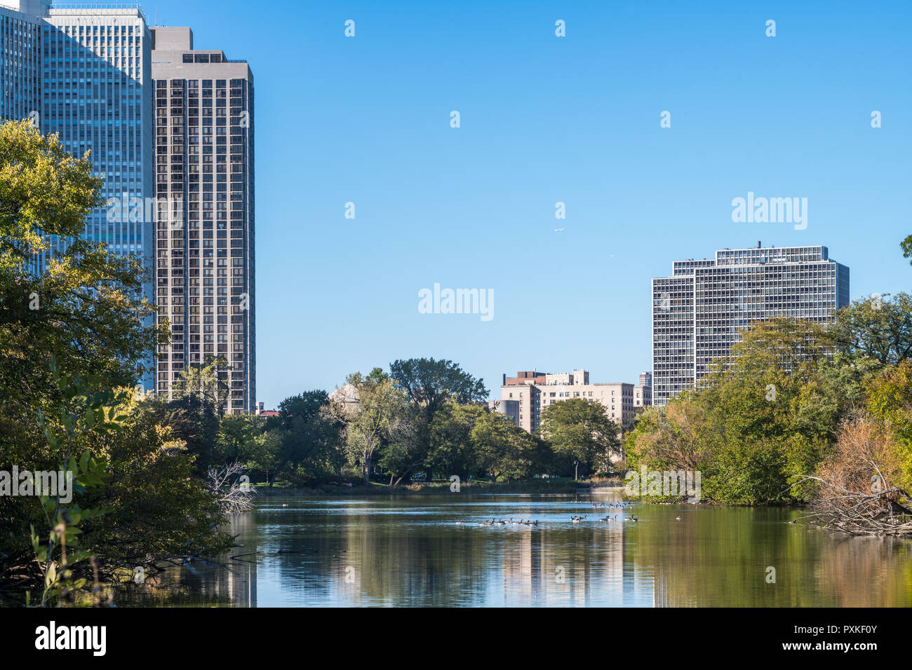 North pond in lincoln park hi-res stock photography and images - Alamy