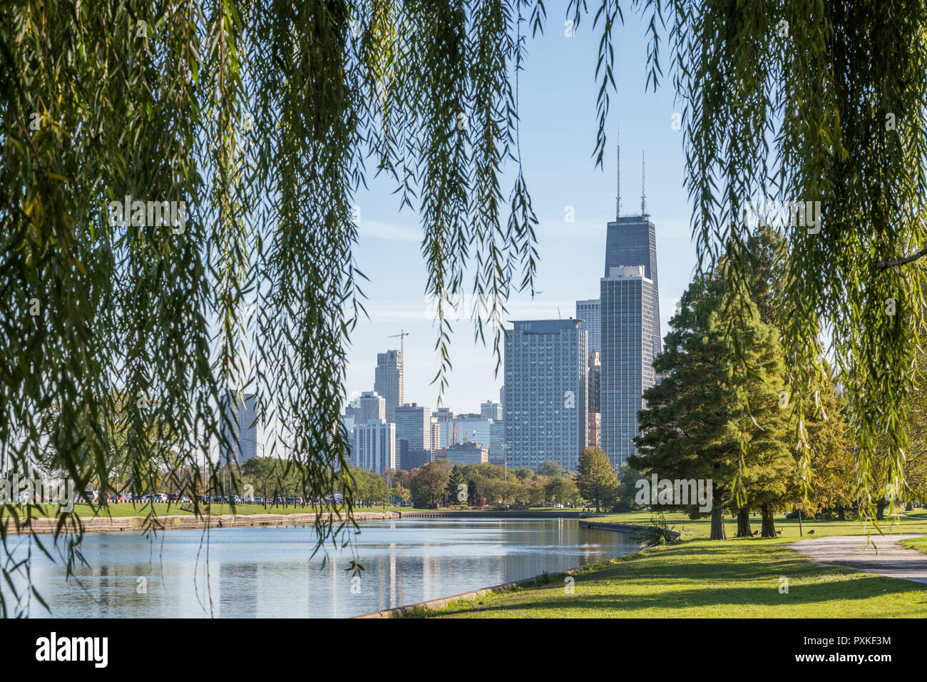 Skyline of downtown Chicago seen from the South Lagoon in Lincoln Park Stock Photo