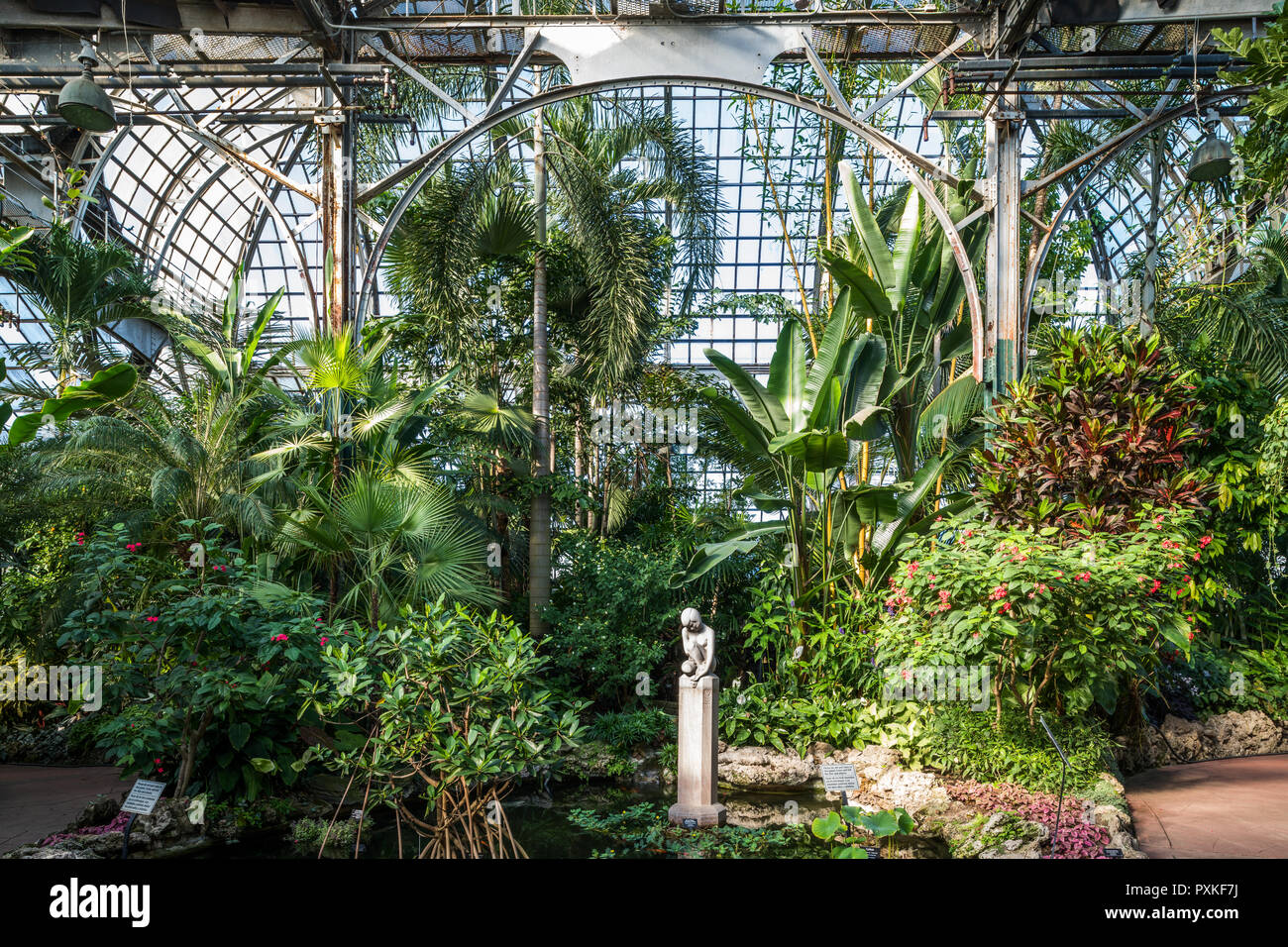 Interior of the Lincoln Park Conservatory Stock Photo