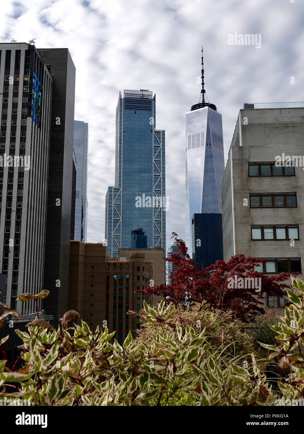 One World Trade Center: as seen from around New York City, Cities