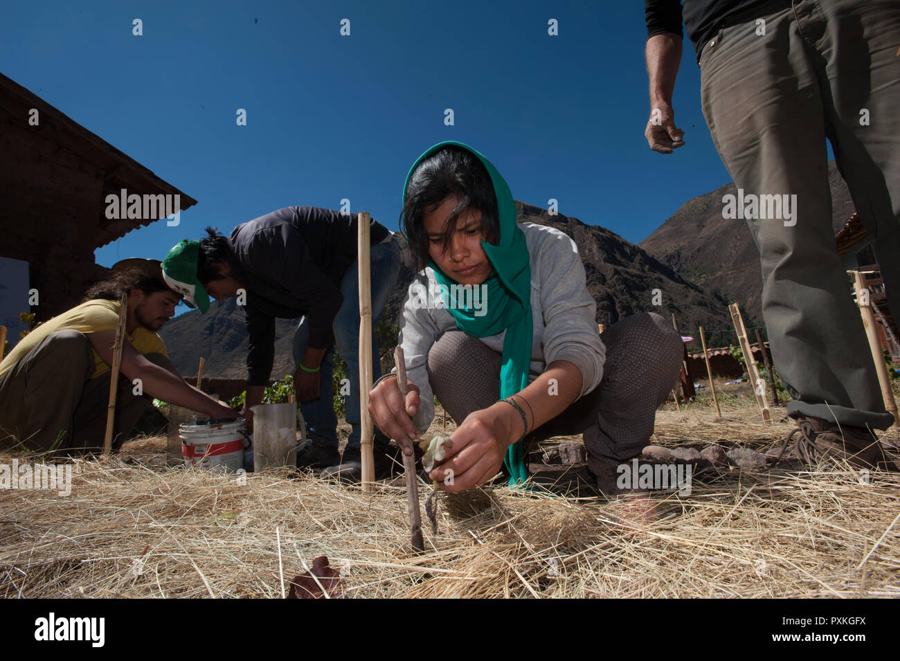 Permaculture is a great philosophy made of good practice that is spreading in Peru, the art hotel of Lamay seems to be the right place for a workshop  Stock Photo