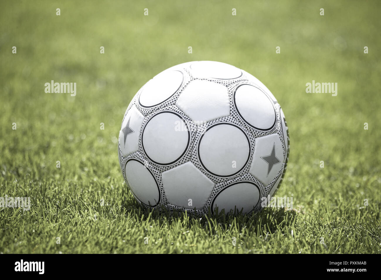 Rasen Fussball Fu?ball Ball Sportgeraet Lederball Ballspiel Lederfussball Sport Still Life Sachaufnahme Ballsport Stock Photo