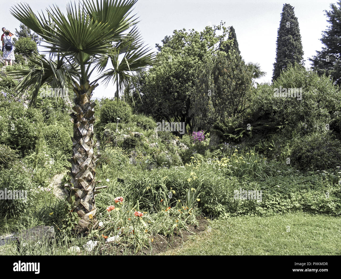 Heller Garden Gardone Stock Photos Heller Garden Gardone Stock