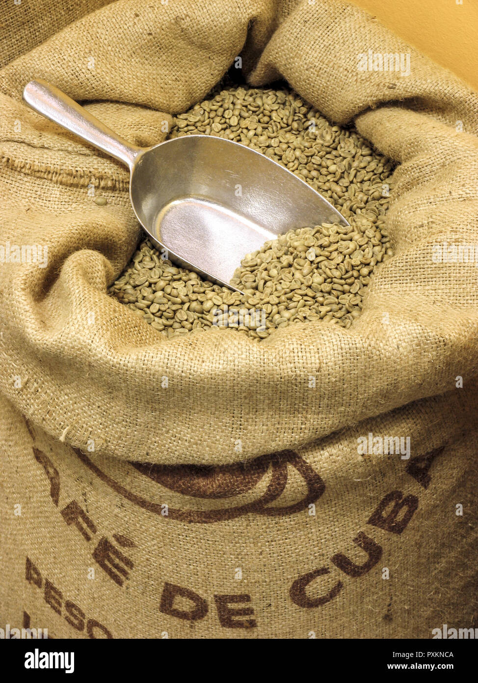 Sack Kaffeebohnen Genussmittel Kaffee Bohnen Coffea Frucht Roetegewaechs Same Samen Kaffeebohne Aroma Aromastoff Koffein Anregend Jutesack Stock Photo