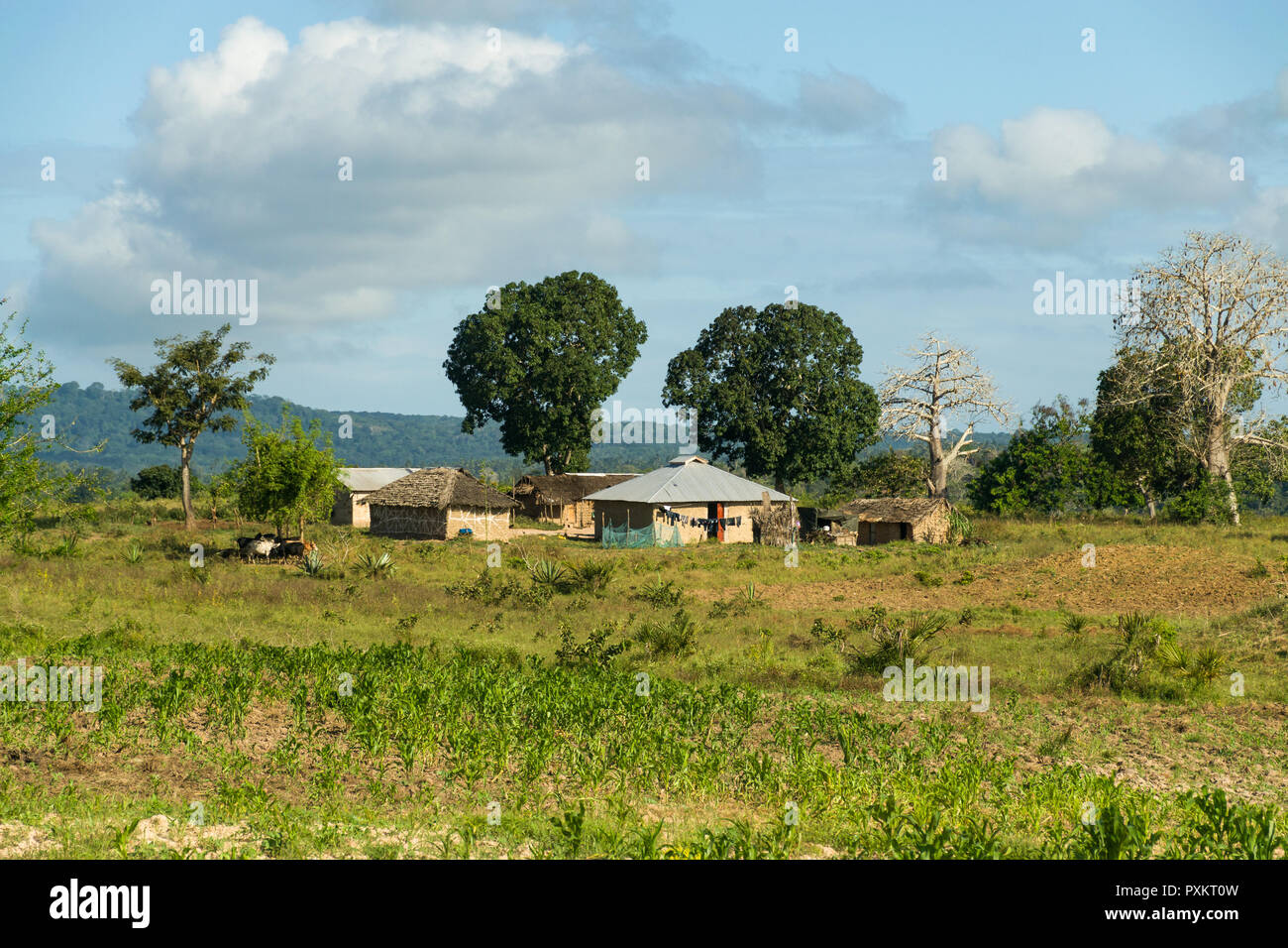 Rural village homes hi-res stock photography and images - Alamy
