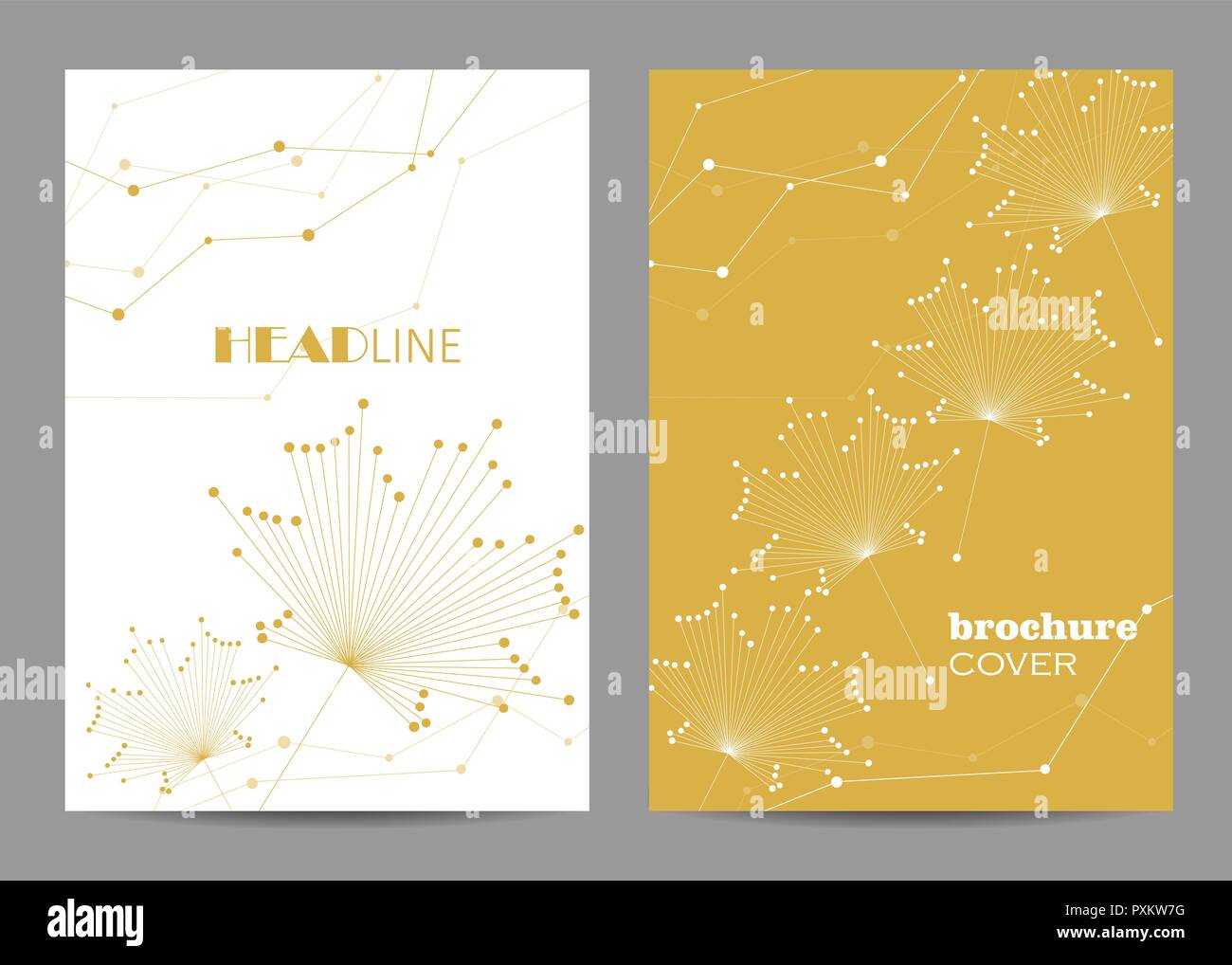 Brochure template layout design. Abstract geometric background with connected lines and dots Stock Vector