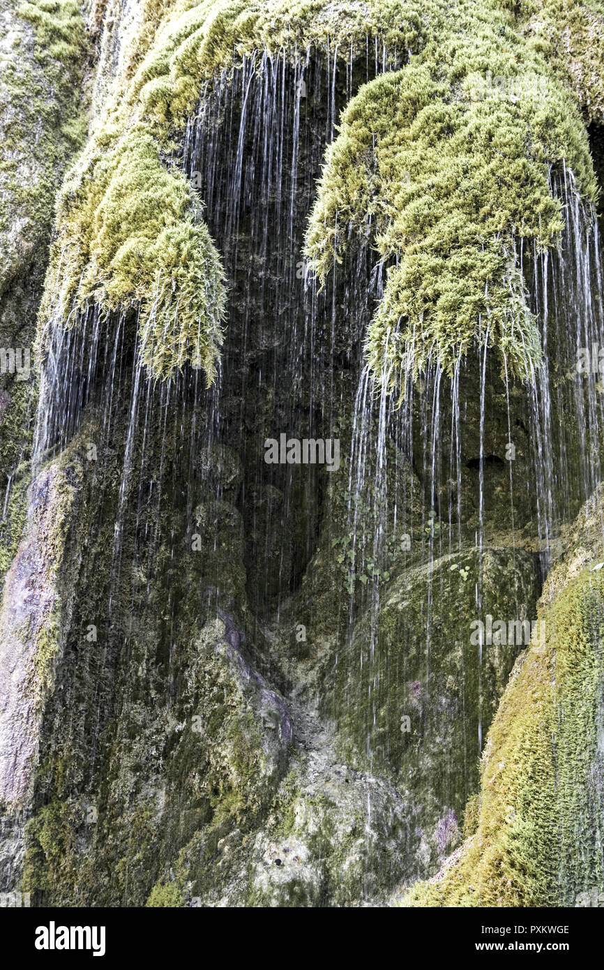 Wasserfall, Wasserfaelle, Schleierfaelle, Wasser, fliessen, Natur, Frische, Feuchtigkeit, Vegetation, Moos, gruen, Bewegung, Deutschland, Europa, Baye Stock Photo