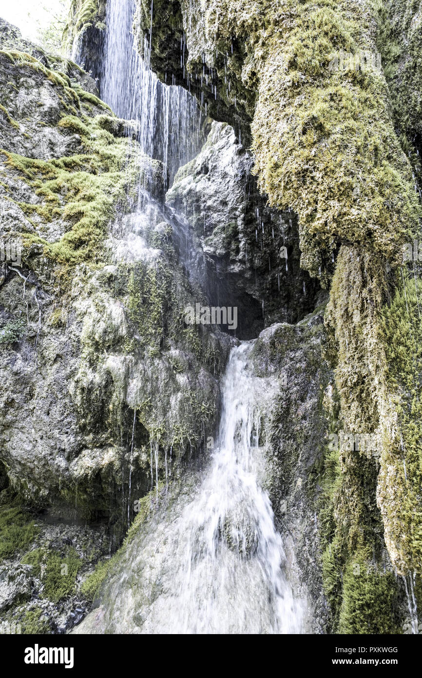Wasserfall, Wasserfaelle, Schleierfaelle, Wasser, fliessen, Natur, Frische, Feuchtigkeit, Vegetation, Moos, gruen, Bewegung, Deutschland, Europa, Baye Stock Photo