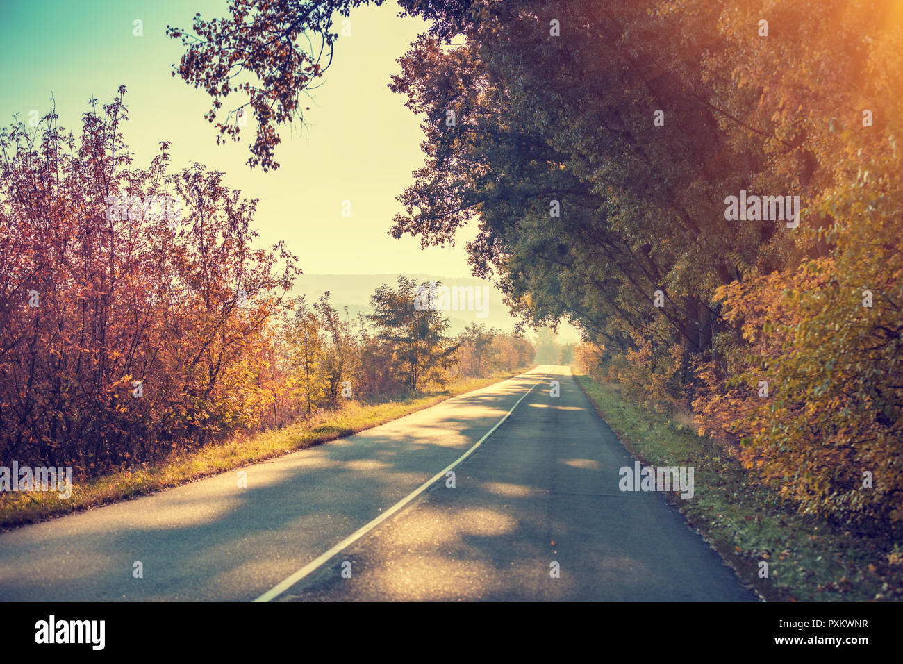 Trees on the roadside hi-res stock photography and images - Alamy