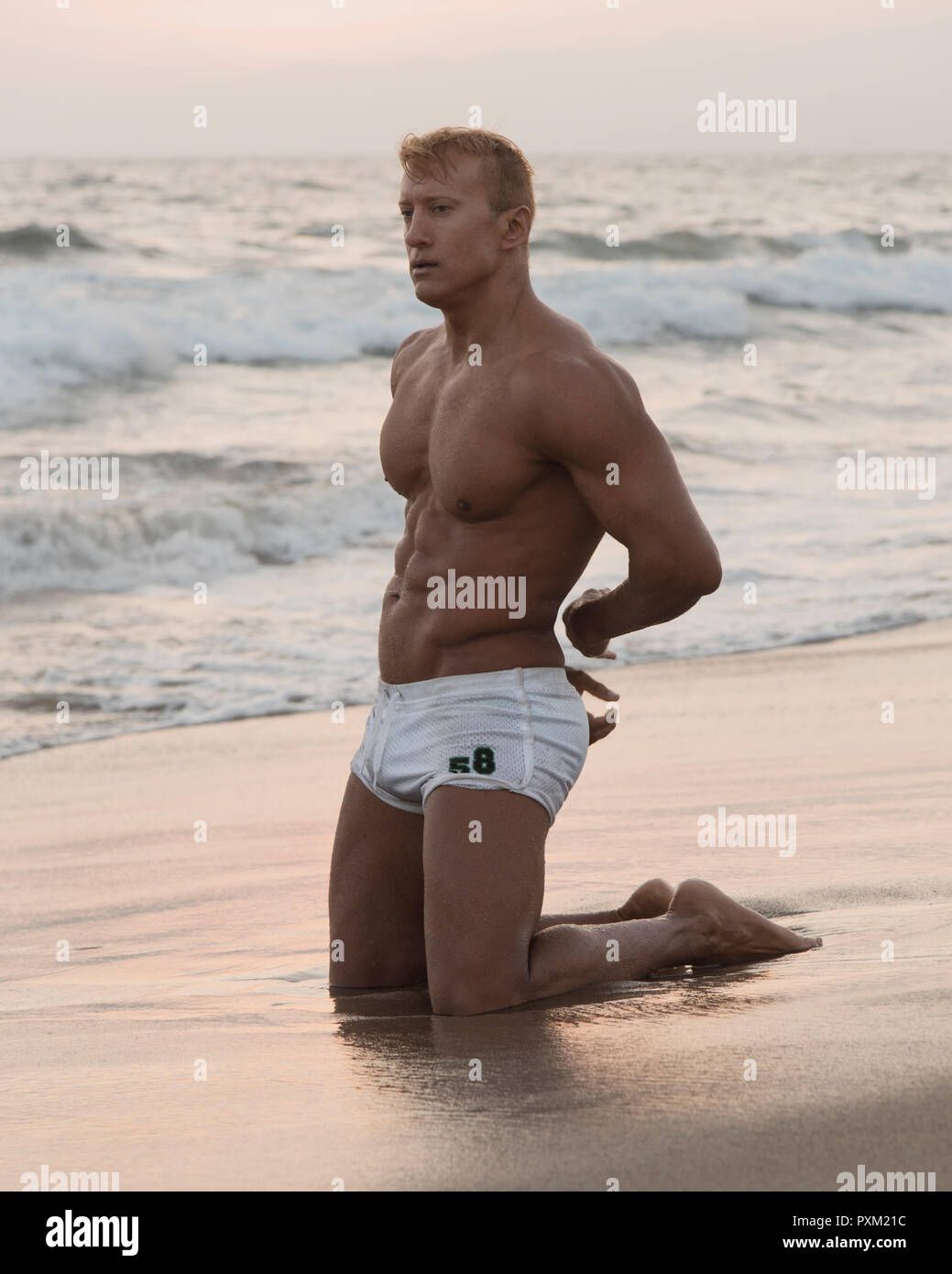 A sexy muscular bodybuilder on the beach at sunset. Exclusive image Stock  Photo - Alamy, image size:1039x1390