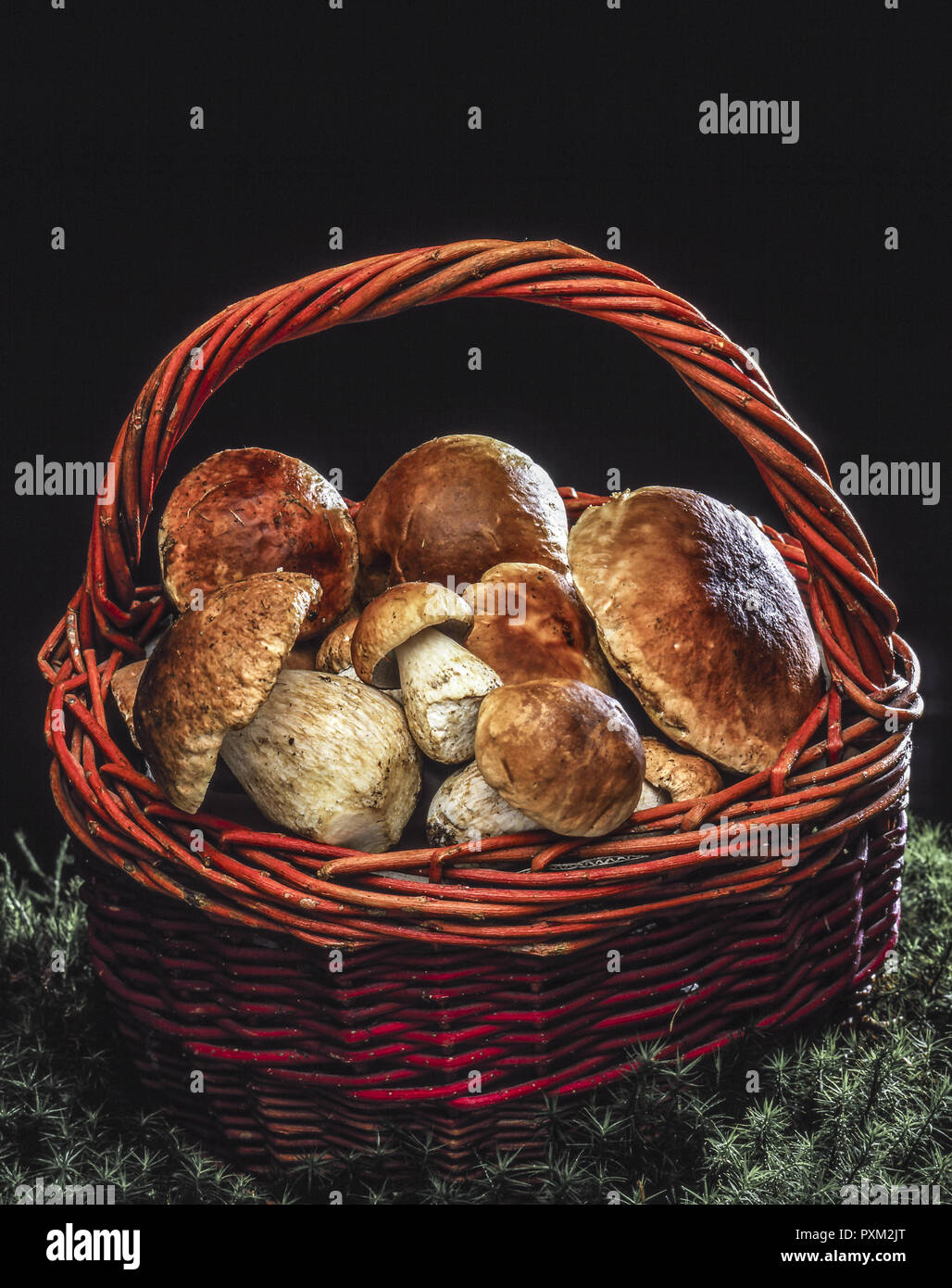 Steinpilze Mit Aubergine - Rezepte Suchen