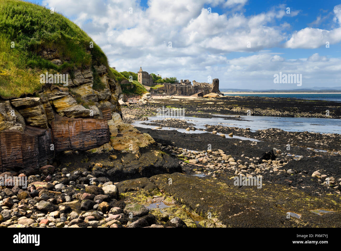 St Andrews Castle ruins with wall to rocky ocean with tide pools and Castle Sands beach in St Andrews Fife Scotland UK Stock Photo