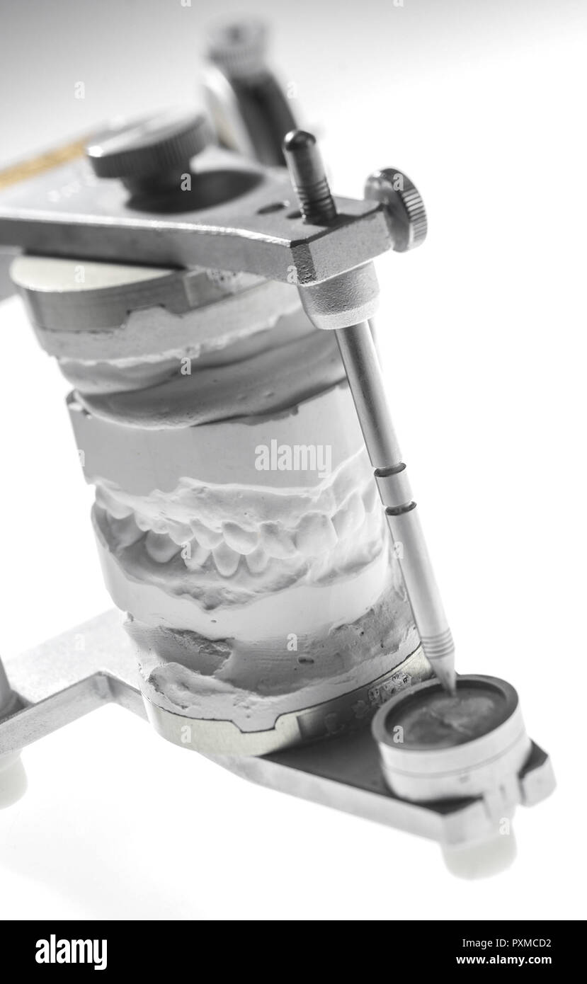 Zahntechnik Zahnersatz Gipsmodell Zahnprothese Zahnarzt Zahnmedizin Dentallabor Gipsabdruecke Modelle Gebiss Zaehne Zahnmodelle Prothese Ersatz Medizi Stock Photo