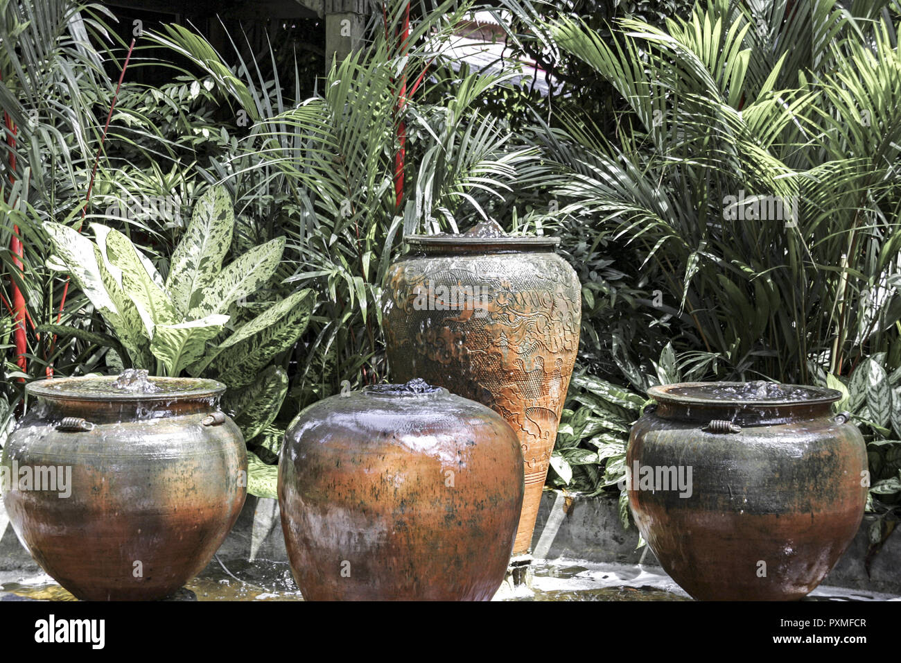 Thailand Siam Nong Nooch Village Tropical Garden Kultur Tradition ...