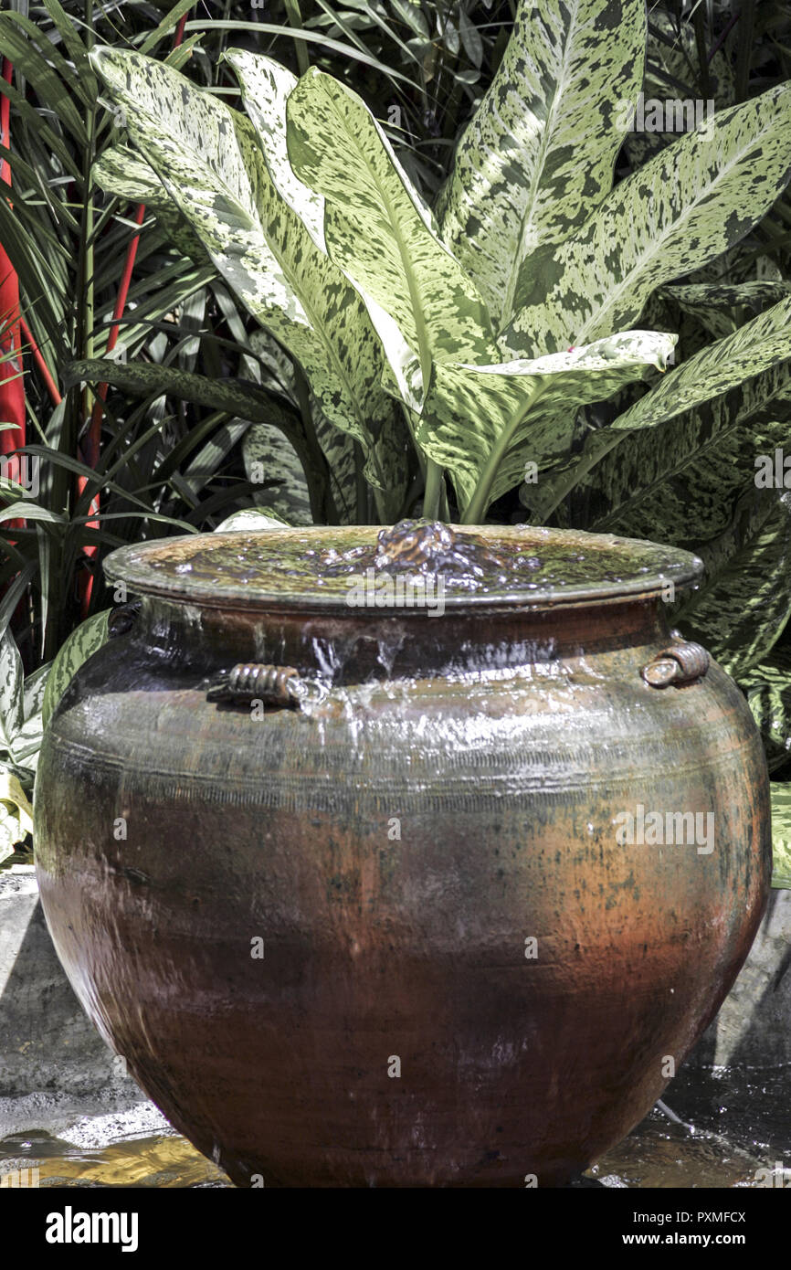 Thailand Siam Nong Nooch Village Tropical Garden Kultur Tradition