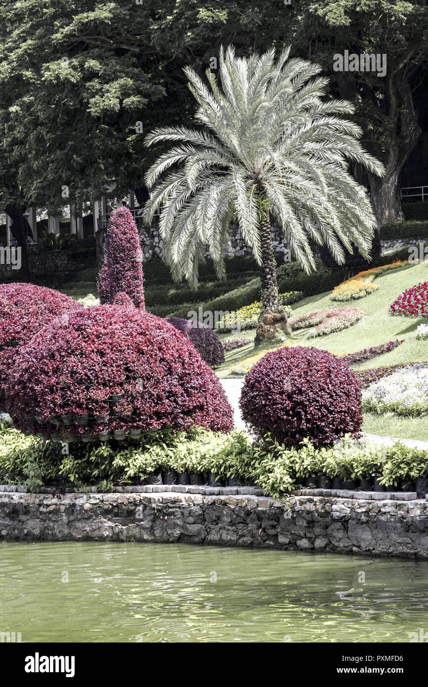Thailand Siam Nong Nooch Village Tropical Garden Kultur Tradition ...