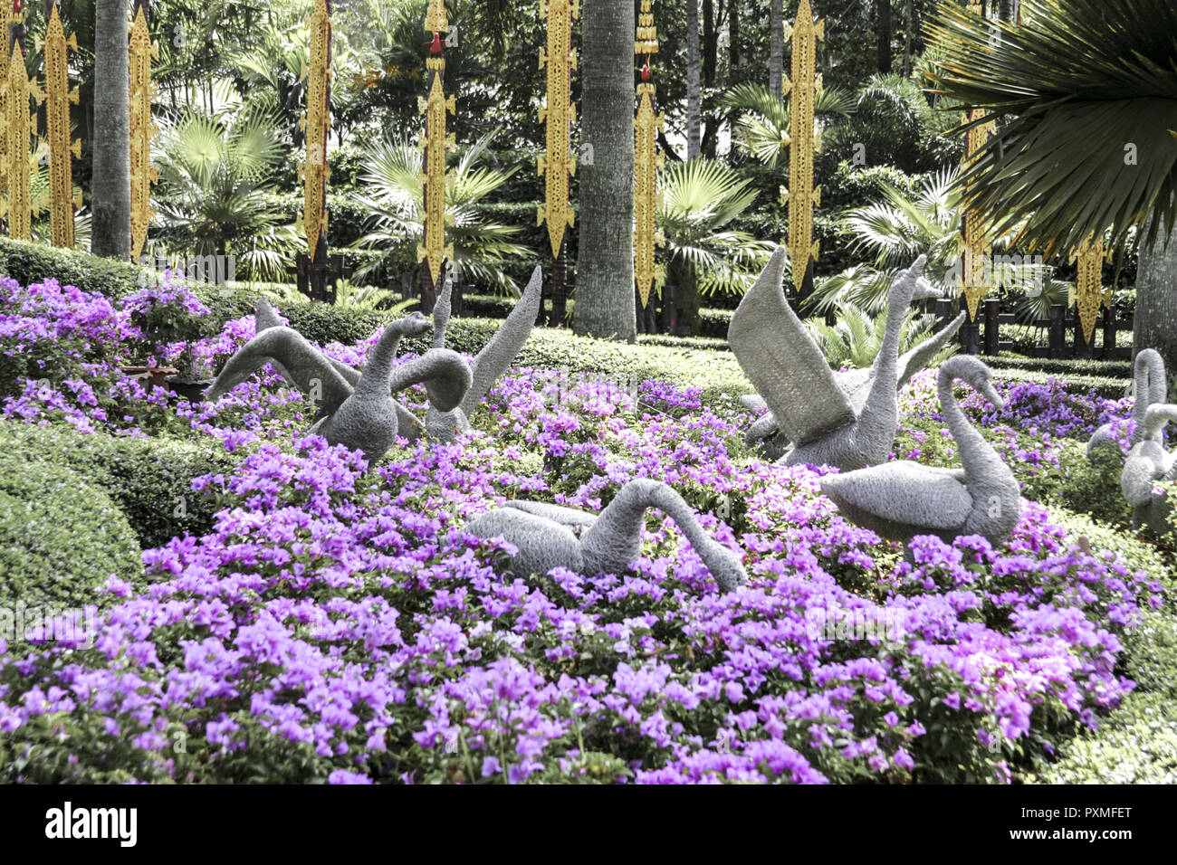 Thailand Siam Nong Nooch Village Tropical Garden Kultur Tradition