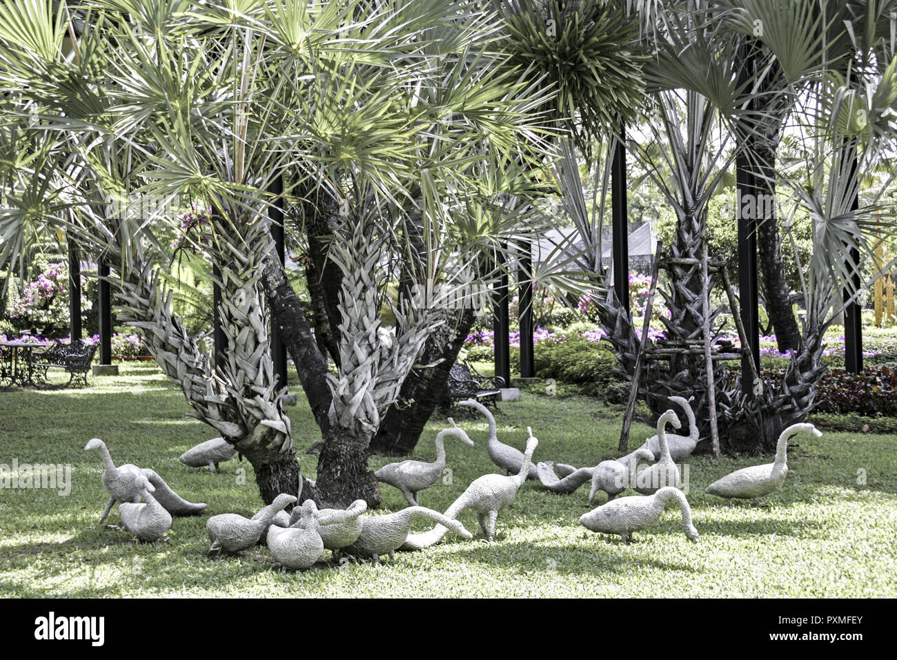 Thailand Siam Nong Nooch Village Tropical Garden Kultur Tradition ...