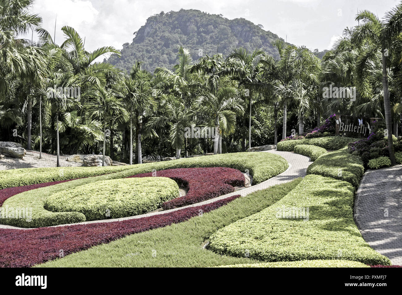 Thailand Siam Nong Nooch Village Tropical Garden Kultur Tradition ...