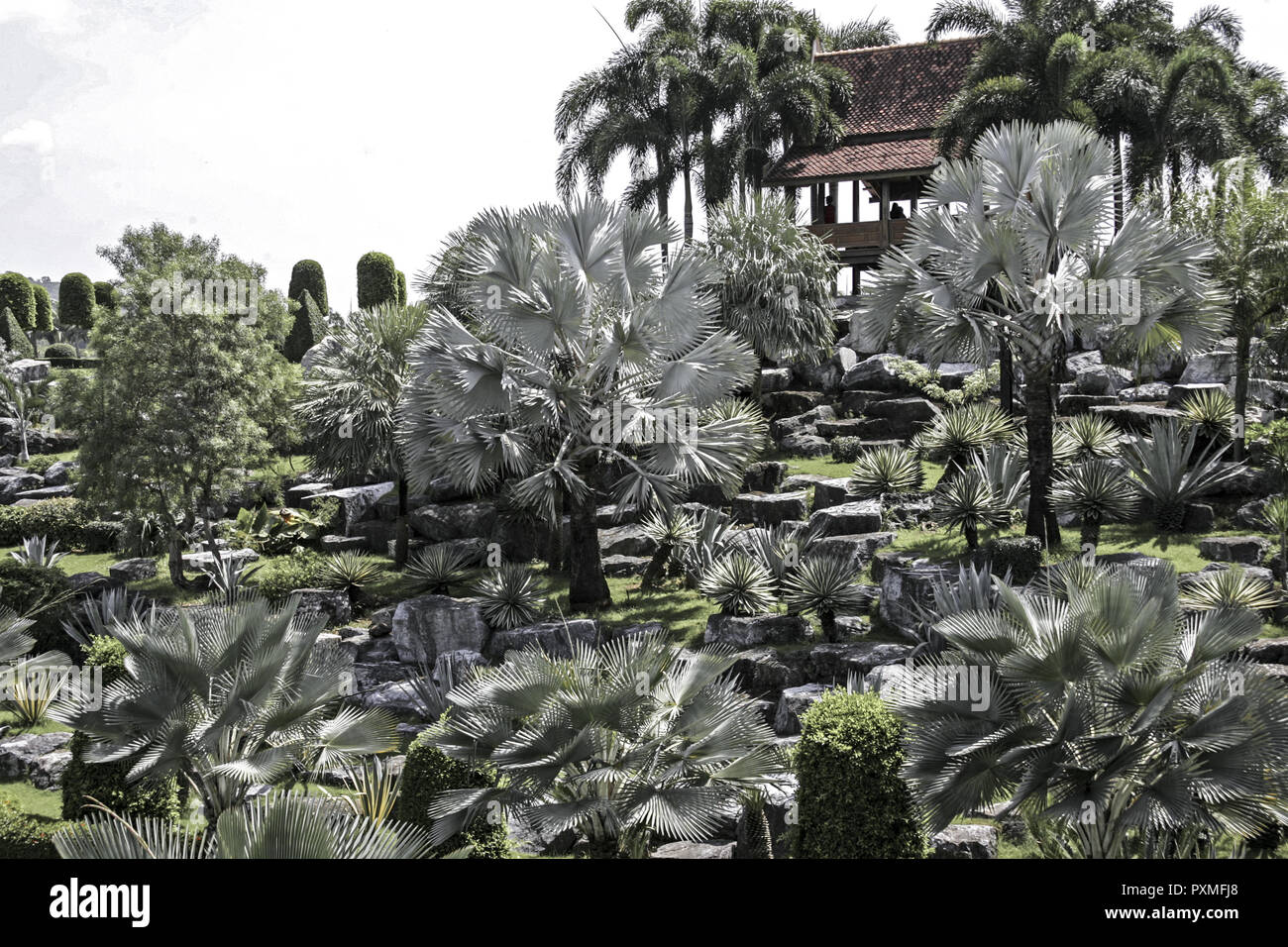 Thailand Siam Nong Nooch Village Tropical Garden Kultur Tradition ...