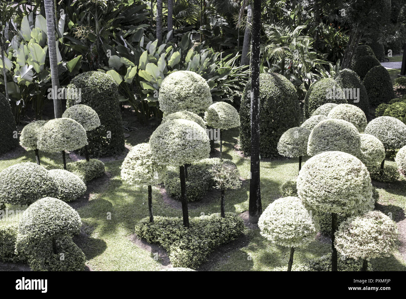 Thailand Siam Nong Nooch Village Tropical Garden Kultur Tradition ...