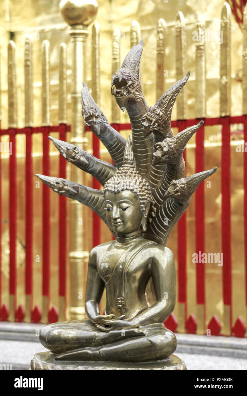 Tempel Wat Phra That Doi Suthep Chiang Mai Thailand Siam Architektur ...
