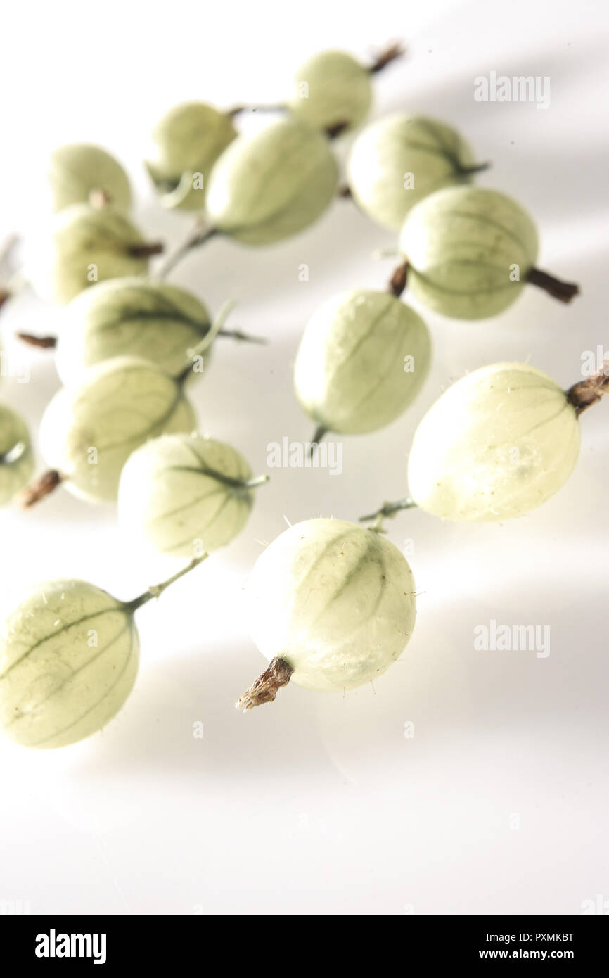 Beeren Fruechte Gooseberry Nahaufnahme Obst Pflanze Ribes