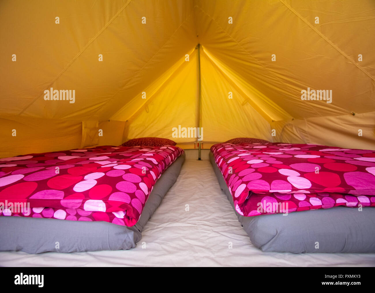 Tent interior with mattresses and purple duvet covers. Stock Photo