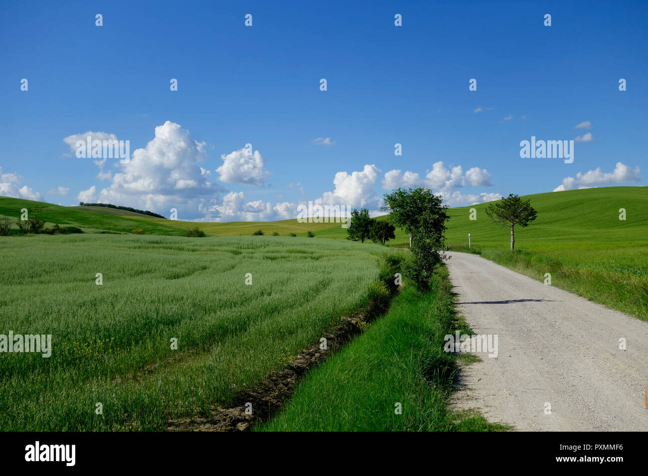 VAL'D ORCIA . TUSCANY Stock Photo