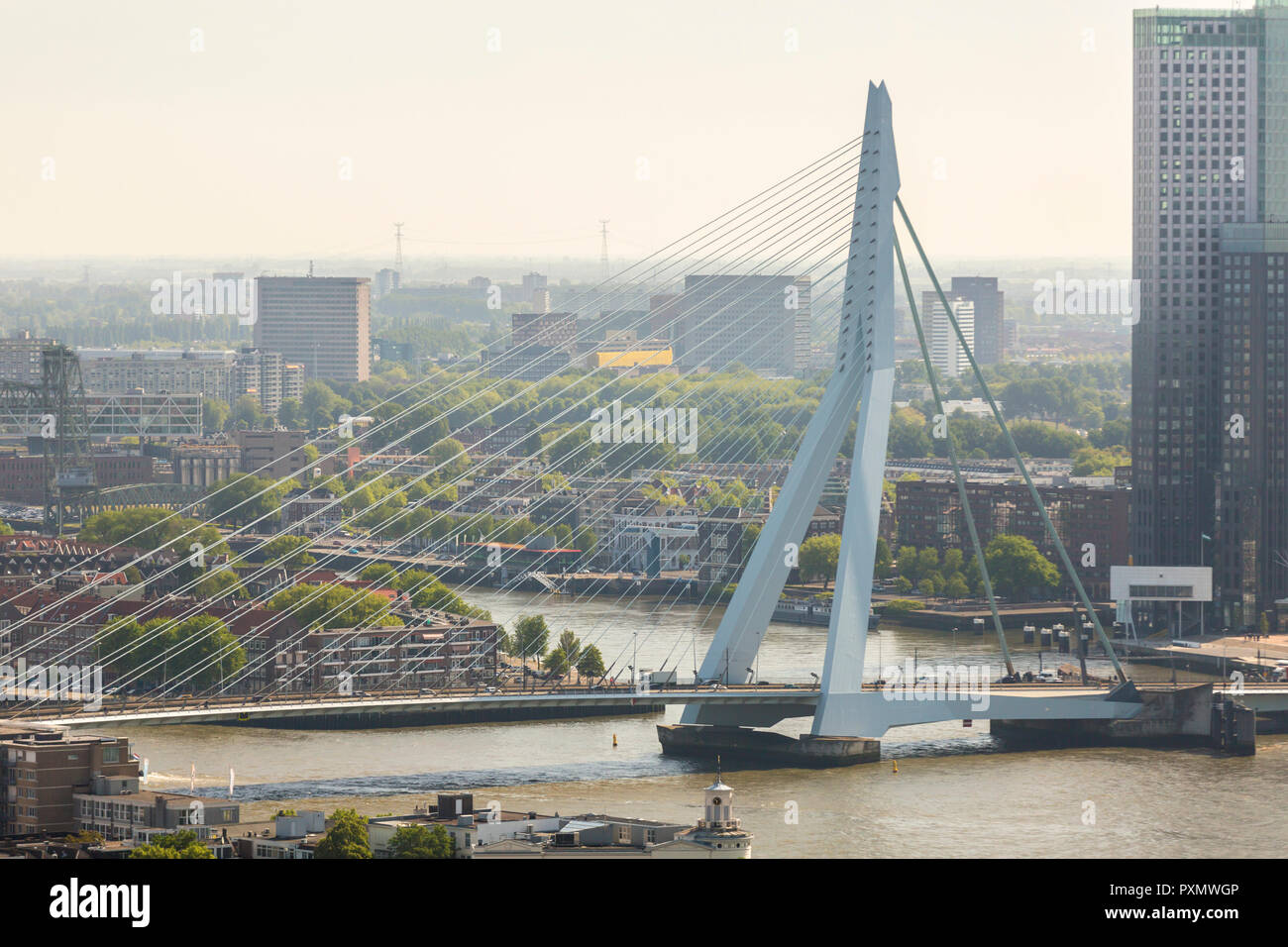 aerial view of the Erasmus bridge on the river Nieuwe Maas in the center of Rotterdam in the Netherlands Holland Stock Photo