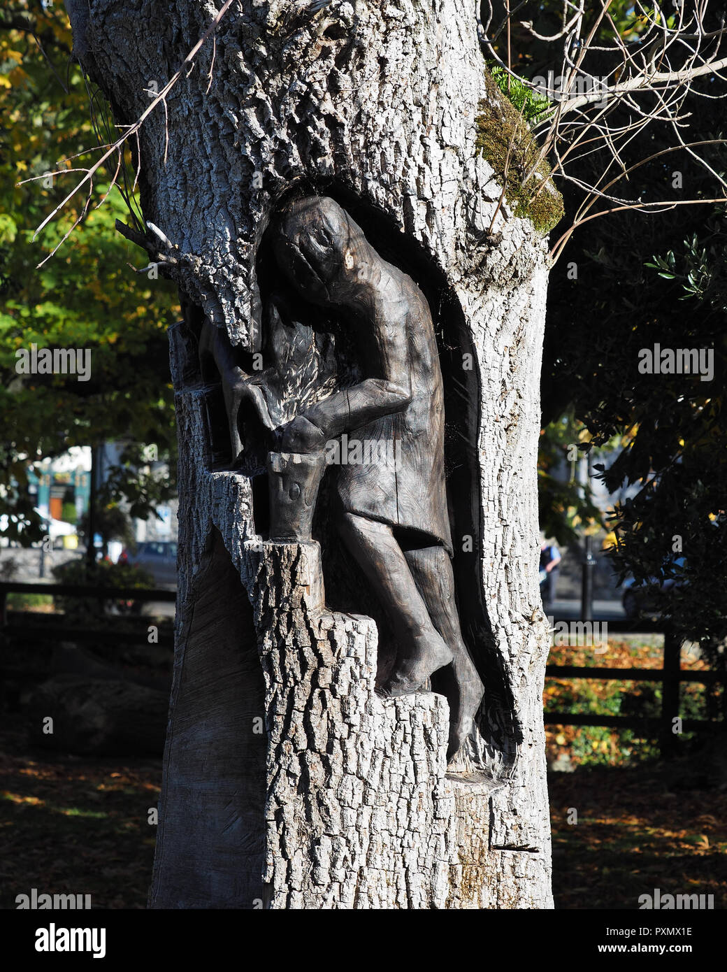 An Goban Saor wood carving in oak tree at Inch field beside Cahir Castle,  County Tipperary, Ireland Stock Photo