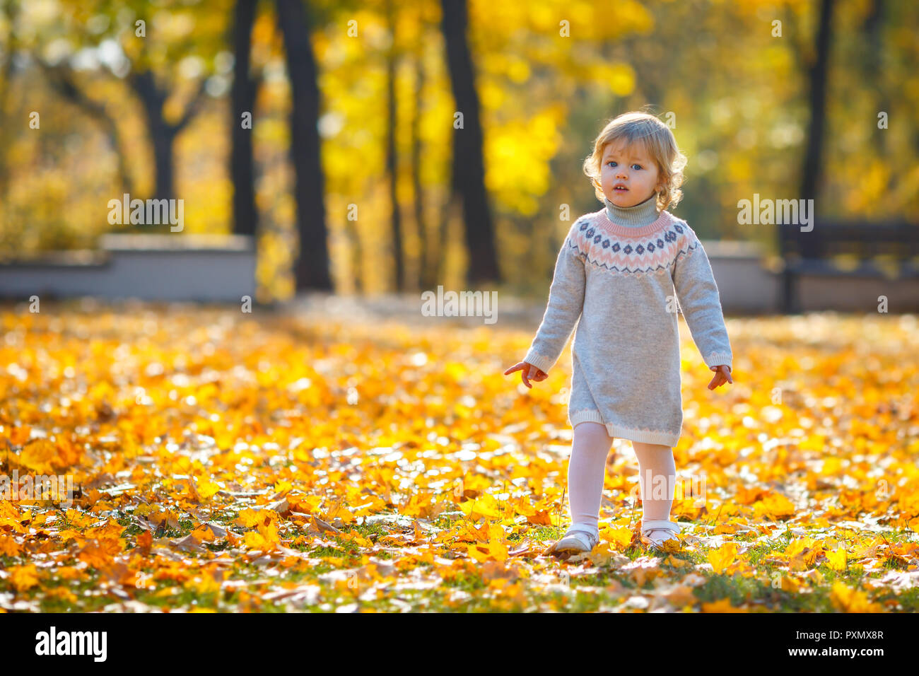 Adorable baby girl walking in autumn park on beautiful autumn day Stock Photo