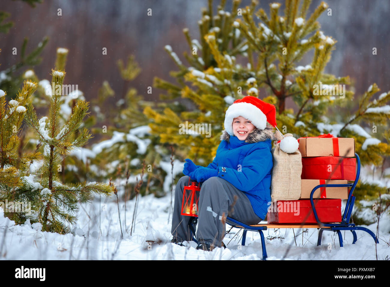 Cute little boy in Santa hat carries a wooden sled with gifts in snowy forest Stock Photo