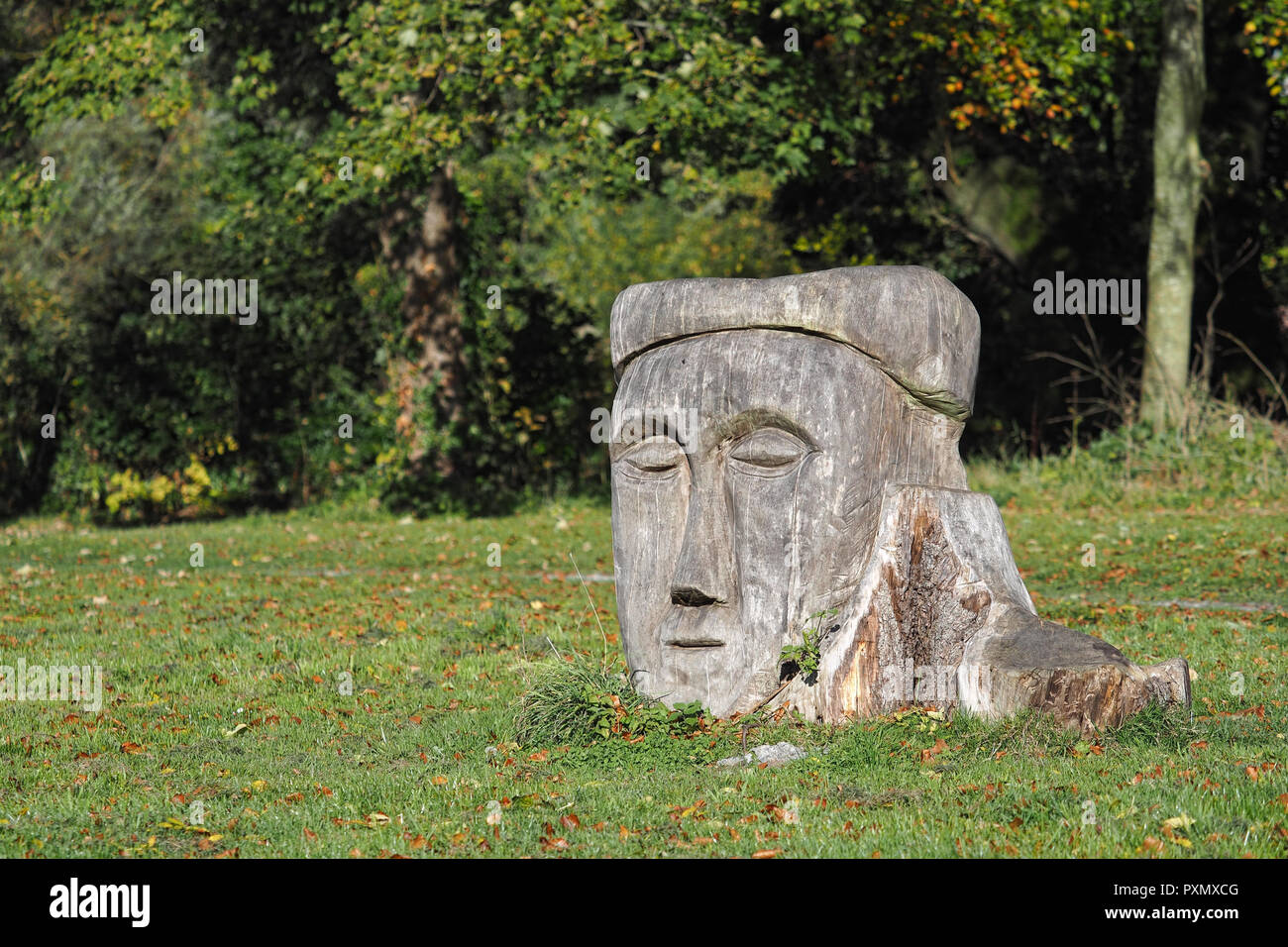 Wood carving in Inch Field beside Cahir Castle, County Tipperary, Ireland Stock Photo