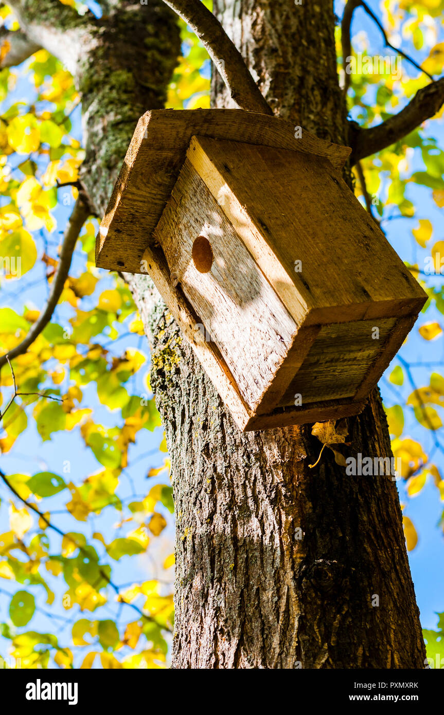 Birdhouses Like This One You Can Find A Lot In Lithuania