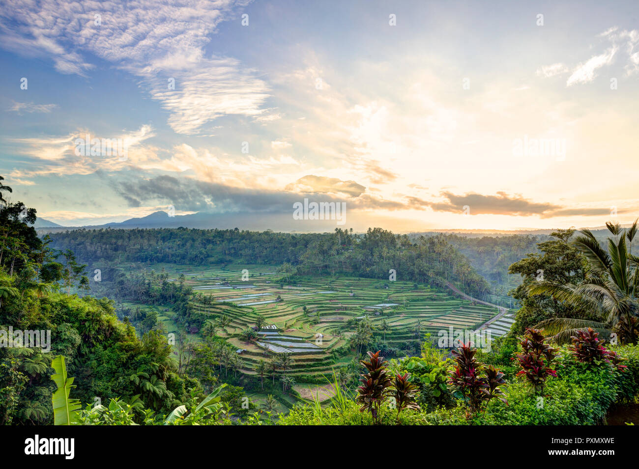 View of rice terraces and Gunung Agung volcano at sunrise, Rendang, Bali, Indonesia Stock Photo