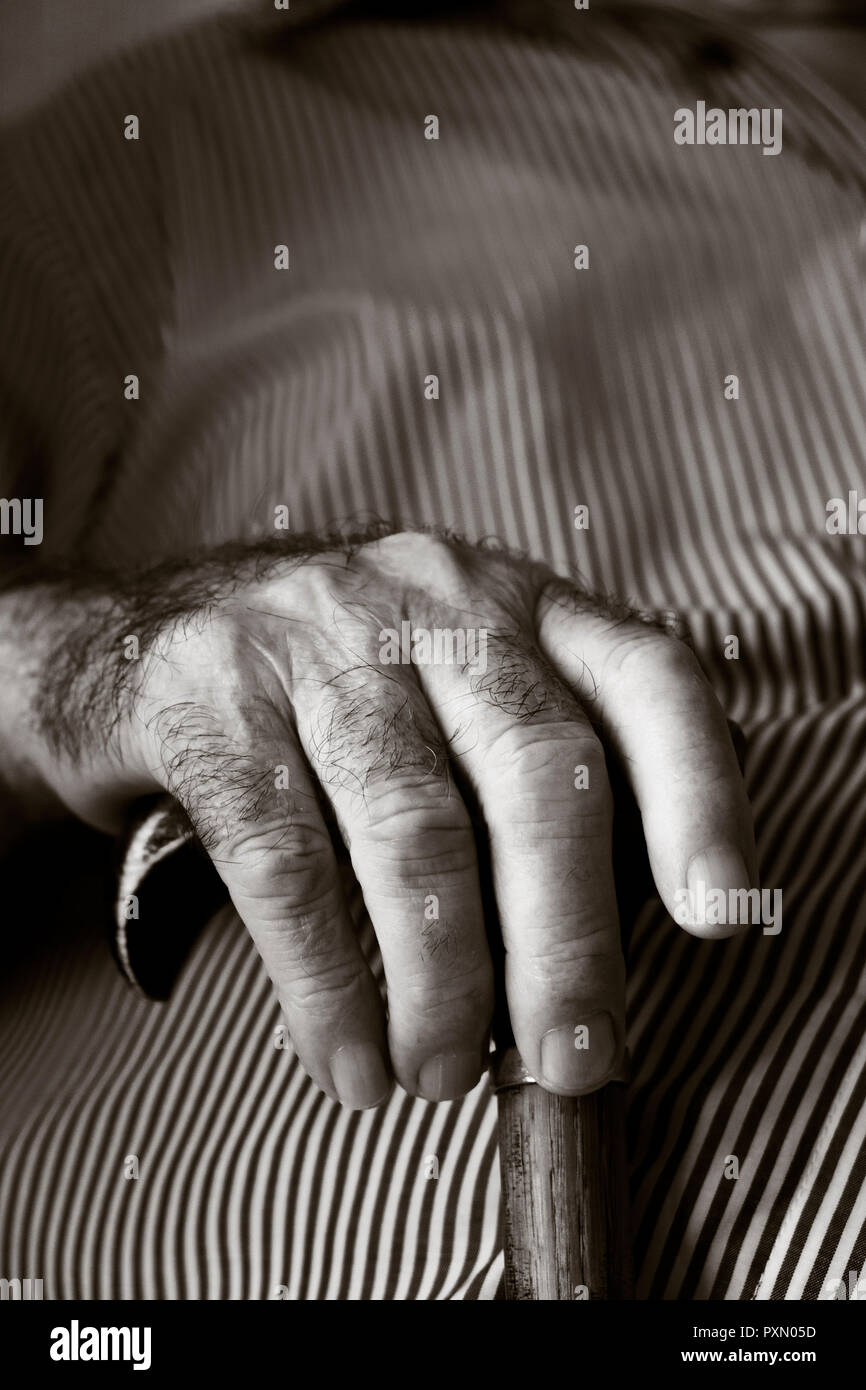 closeup of the hands of an old caucasian man with a walking stick, in a sepia toning Stock Photo