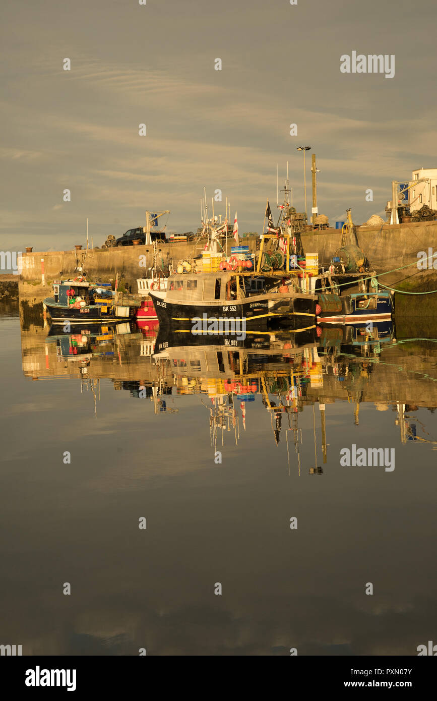 Evening sun on fishing boats in Seahouses harbour, Northumberland, England Stock Photo