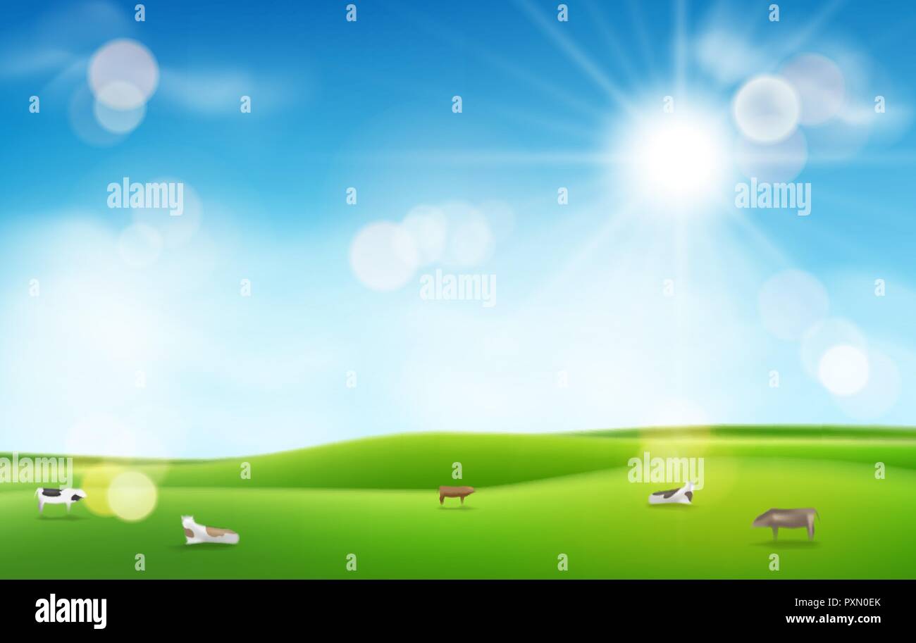 Green grass with sun and blue sky. blurred light effects and cows for your design Stock Vector