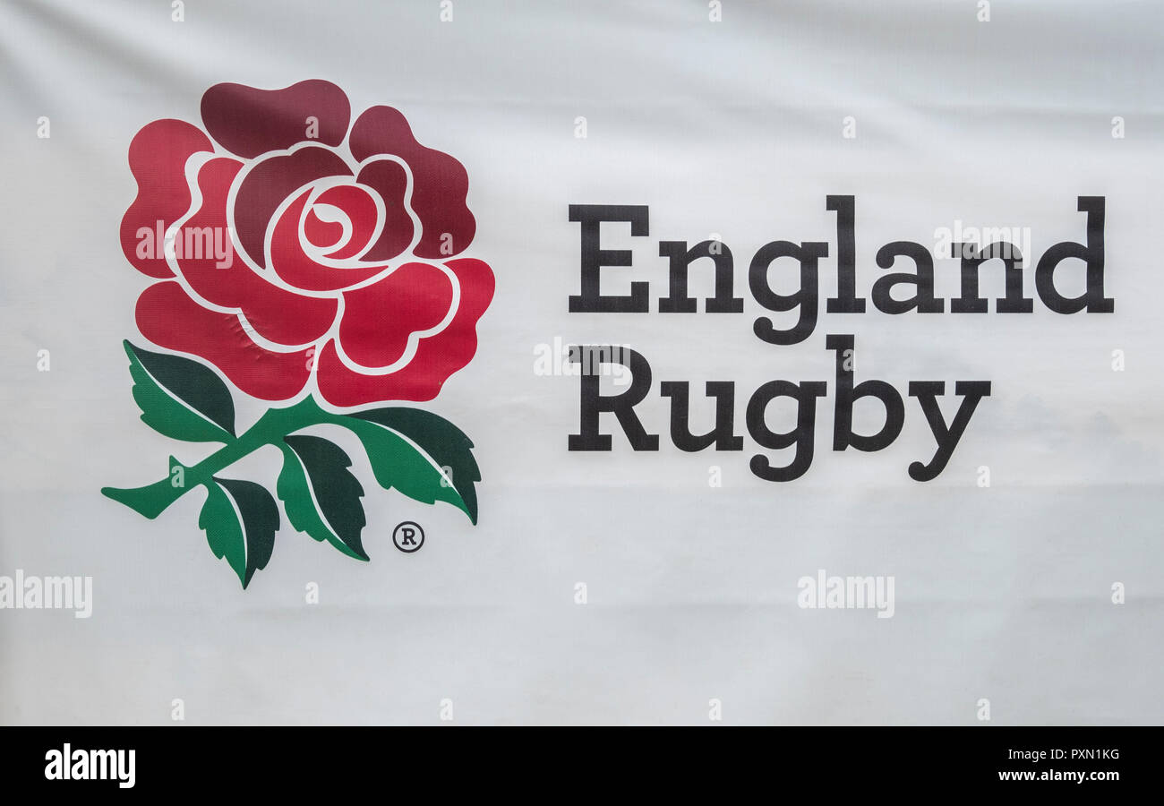 England rugby logo with Alfred Wrights rose Stock Photo