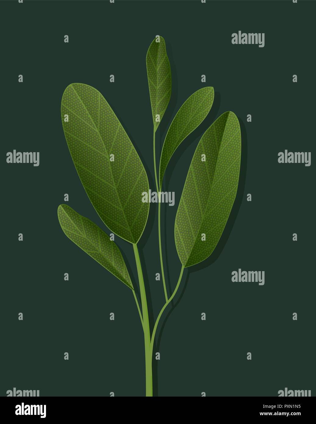 Green tropical leaves Stock Vector Image & Art - Alamy