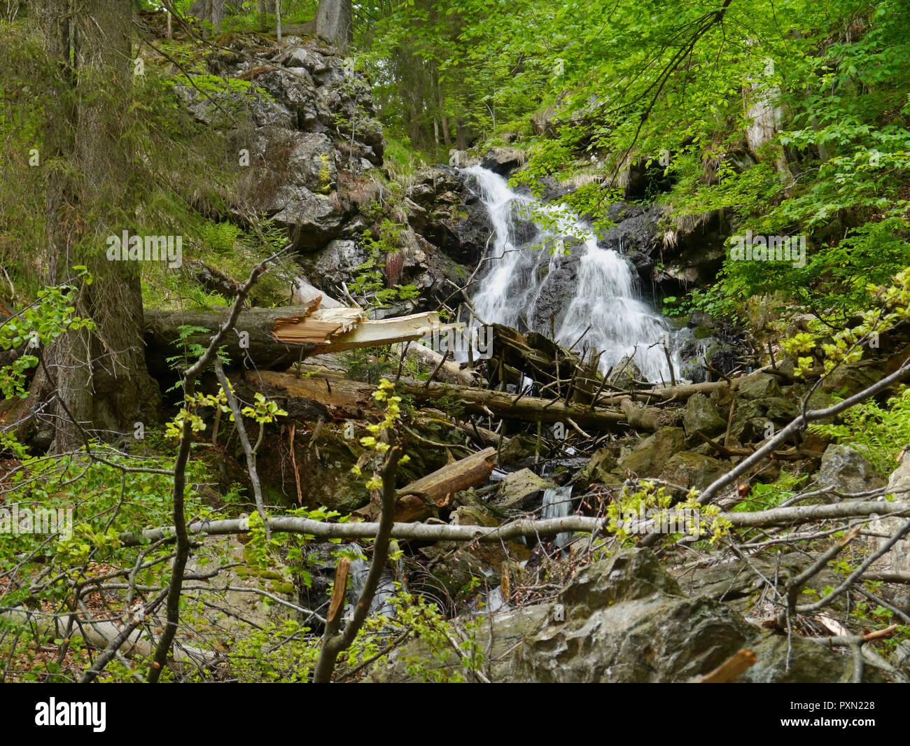 waterfall Höllbachgspreng, wooded rock massif below the Großer Falenstein mountain, national park Bavarian Forest Stock Photo