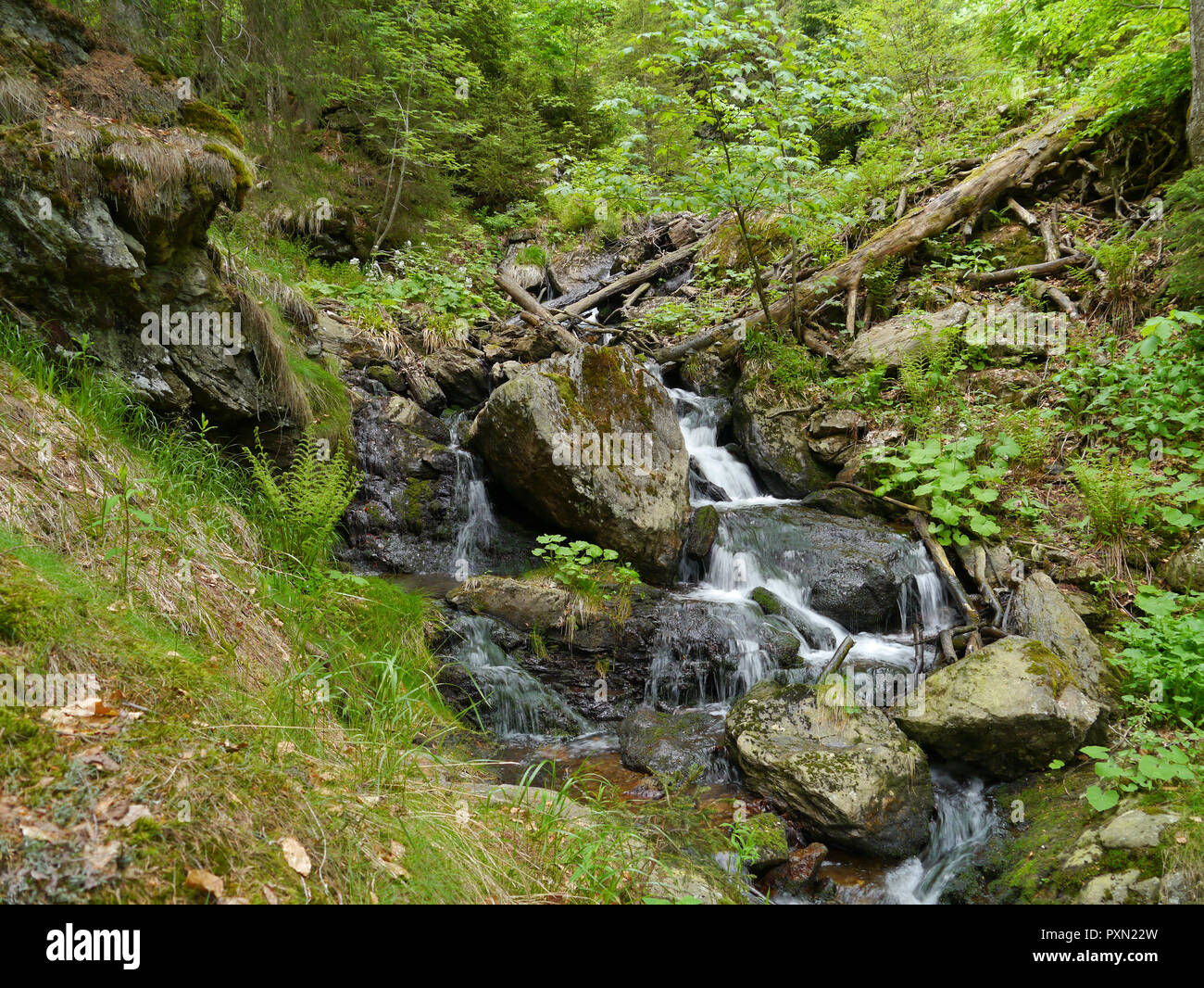 waterfall Höllbachgspreng, wooded rock massif below the Großer Falenstein mountain, national park Bavarian Forest Stock Photo