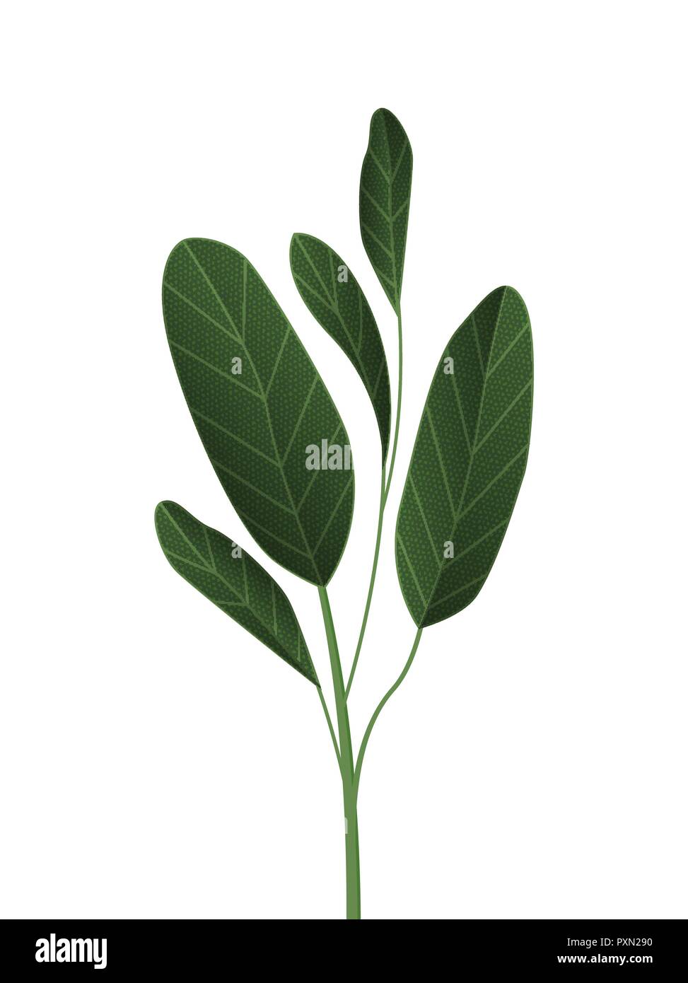 Green tropical leaves Stock Vector Image & Art - Alamy