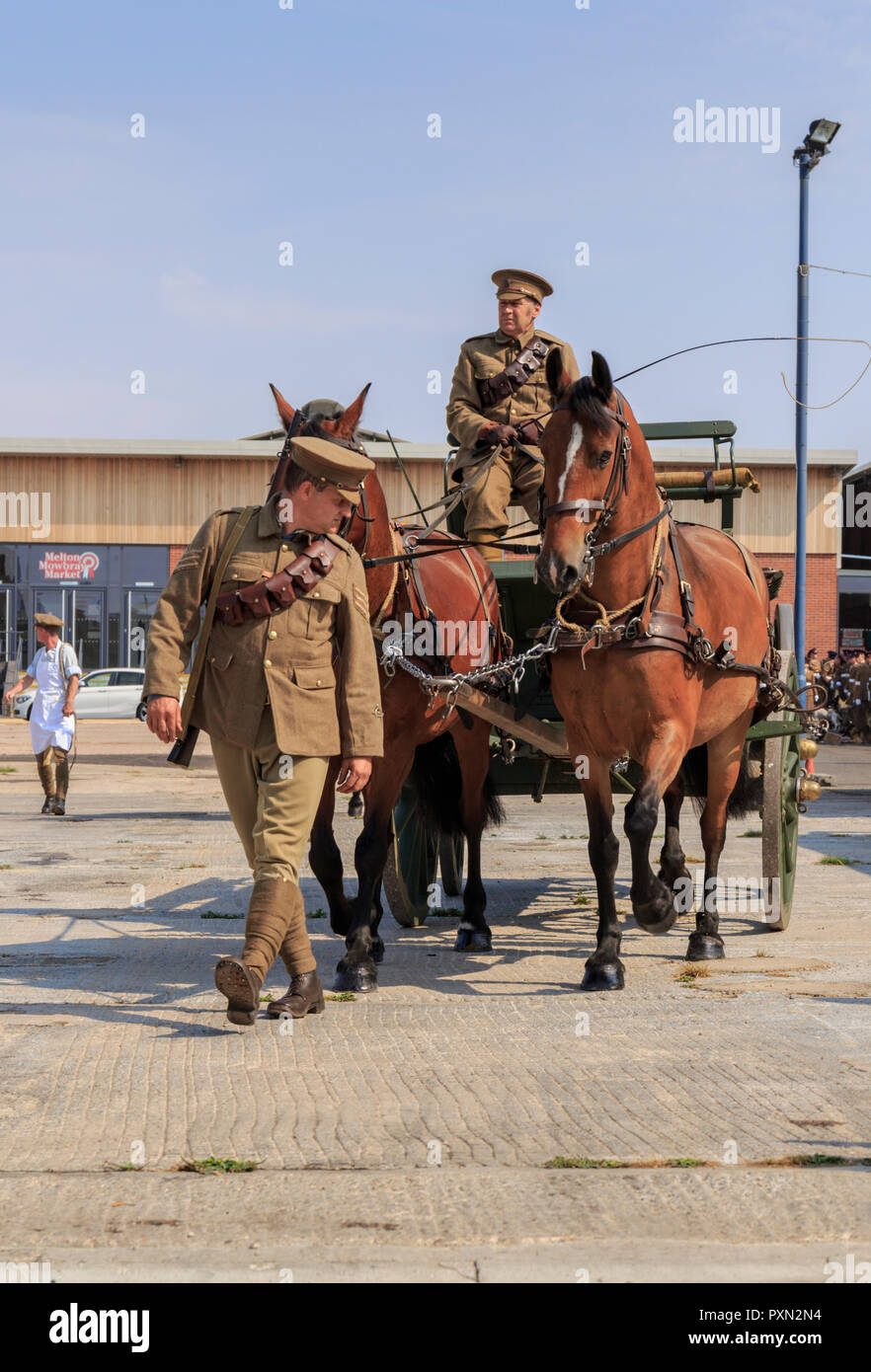 Two riders from the Royal Army Veterinary Corps in First world war authentic uniforms, accompany a WW1 horse ambulance and WW1 veterinary surgeon Stock Photo